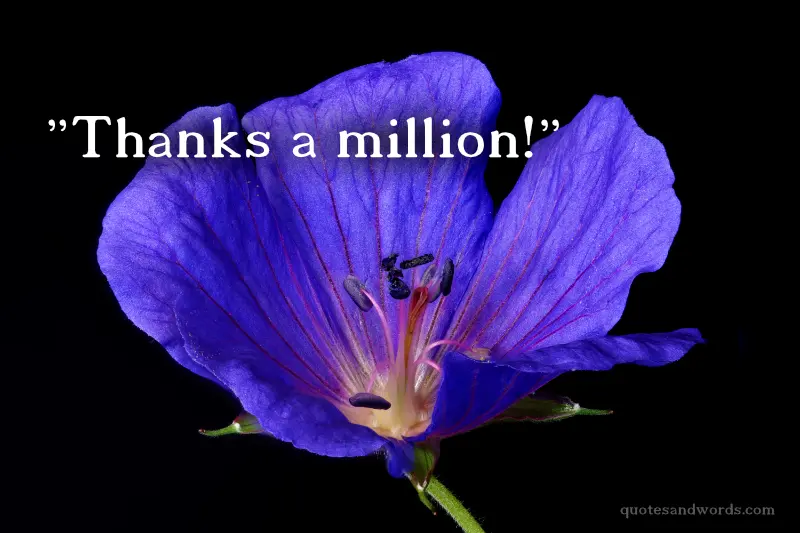 Thanks a million